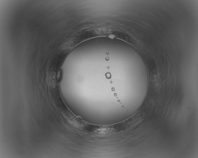 X0000052610323200507011234