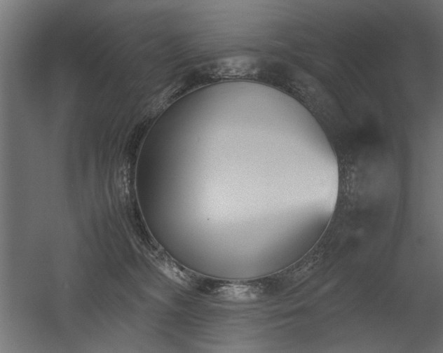 X0000052610326200507011234