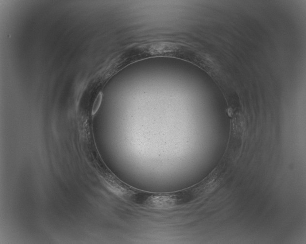 X0000052610327200507011234