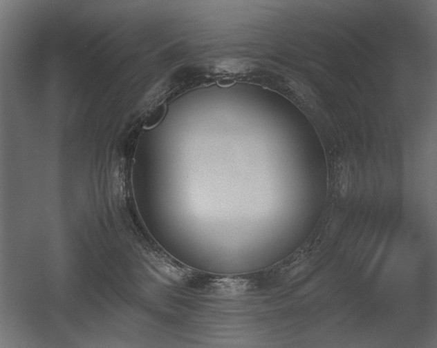 X0000052610328200507011234