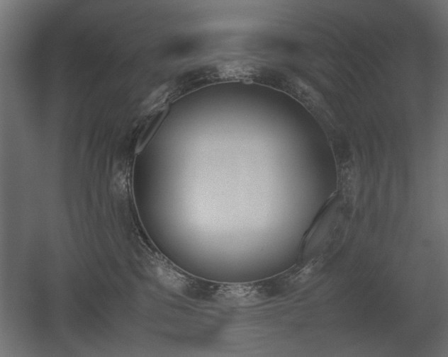 X0000052610329200507011234