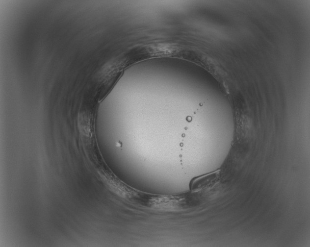 X0000052610331200507011234