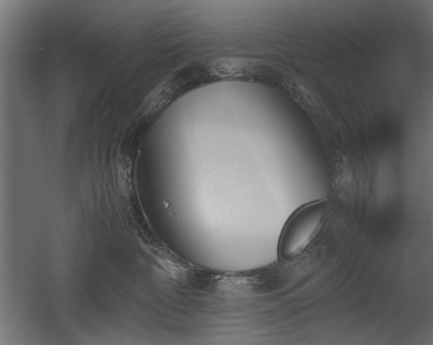 X0000052610332200507011234