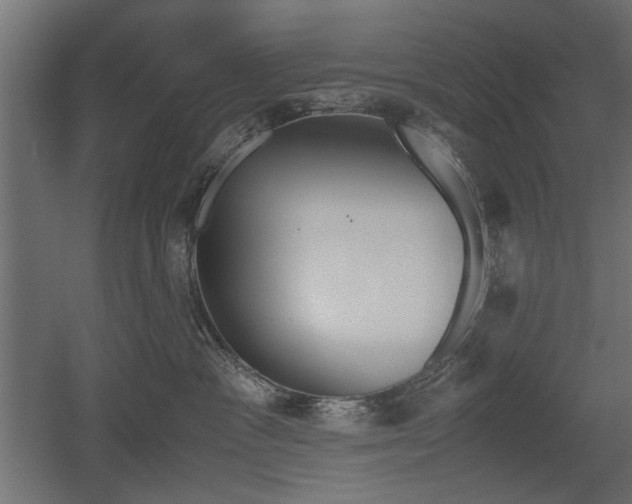 X0000052610333200507011234