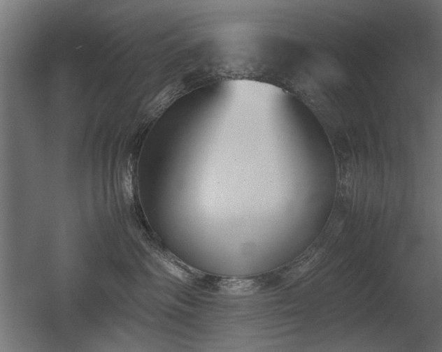 X0000052610334200507011234