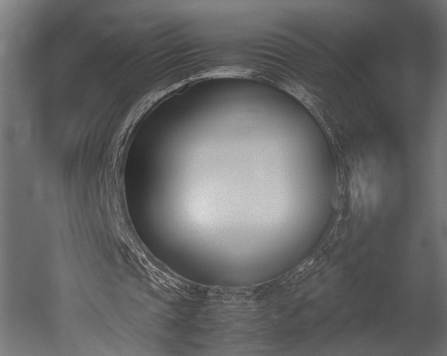 X0000052610337200507011233