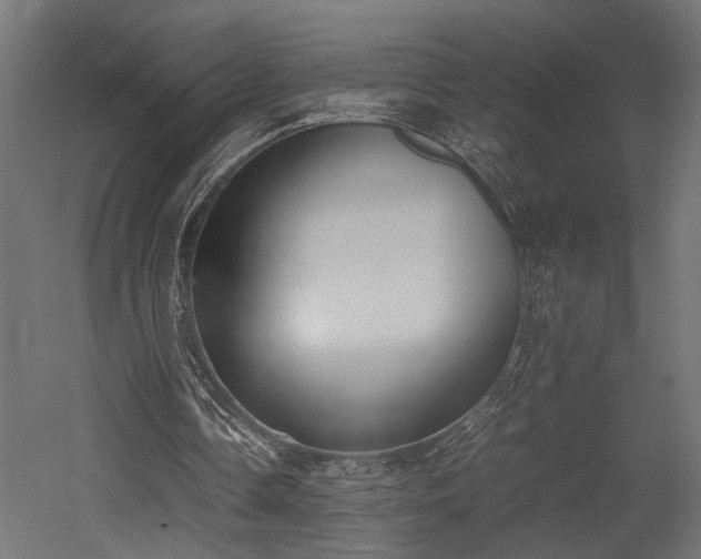 X0000052610338200507011233