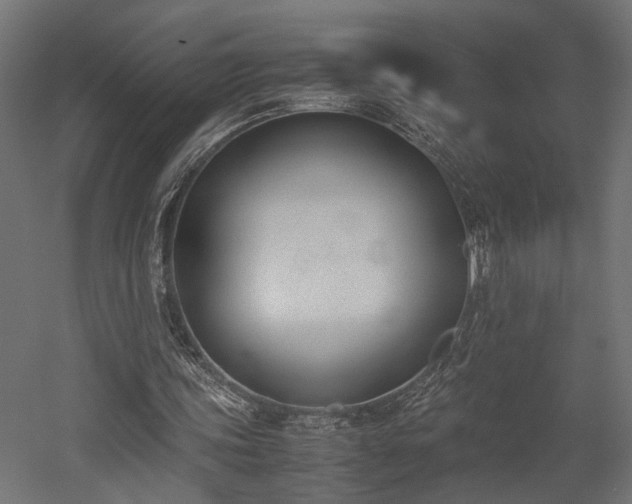 X0000052610339200507011233