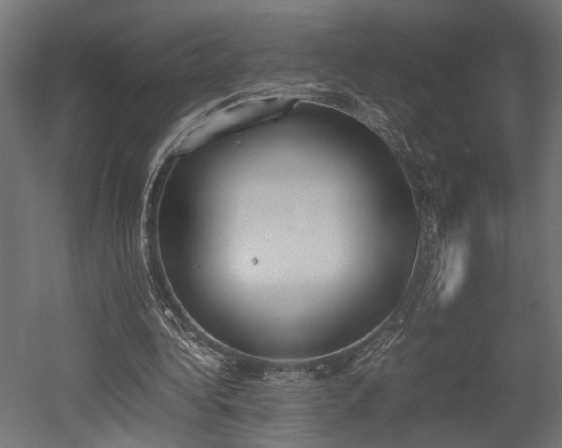 X0000052610340200507011233