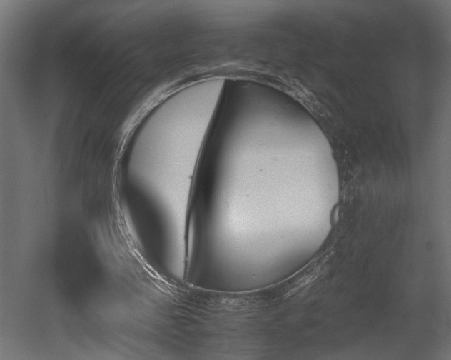 X0000052610341200507011233