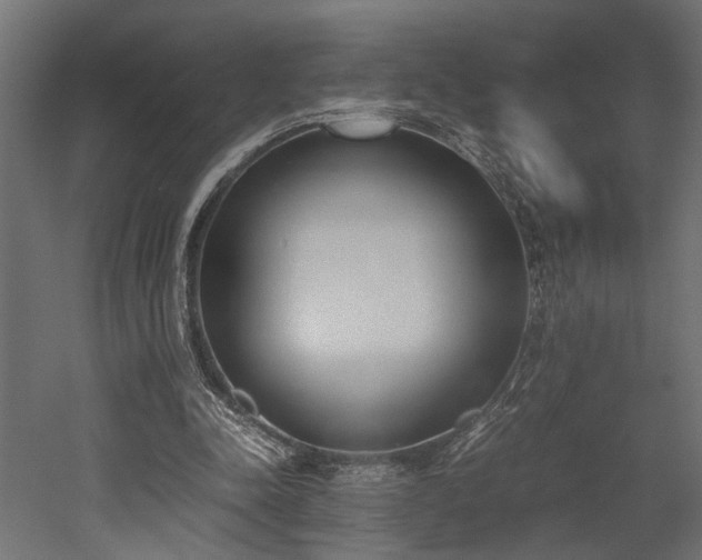 X0000052610342200507011233