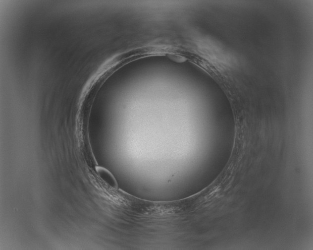 X0000052610343200507011233