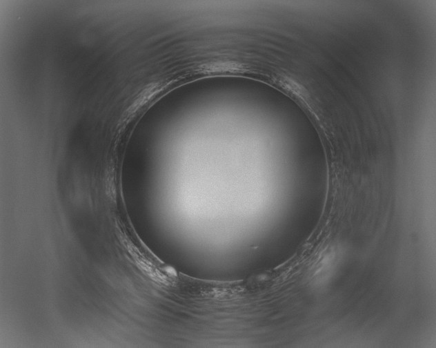 X0000052610345200507011233