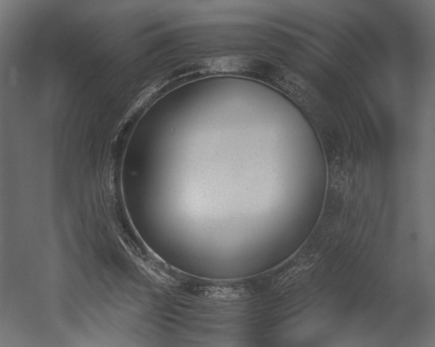 X0000052610347200507011233