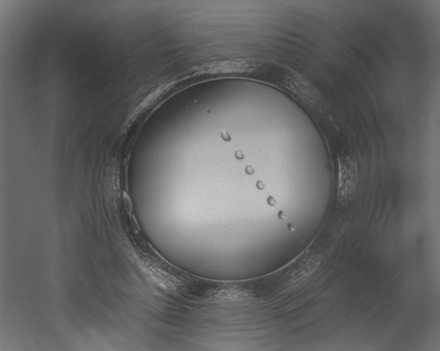 X0000052610348200507011233