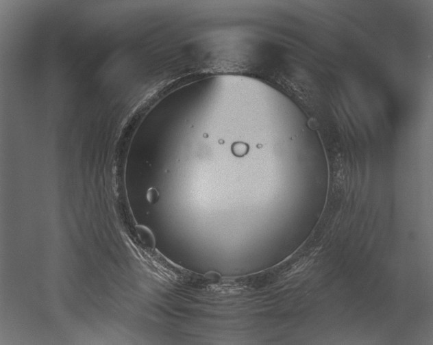 X0000052610351200507011233