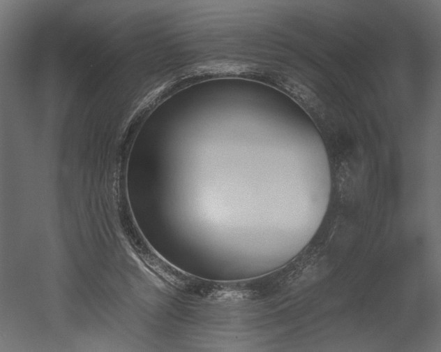 X0000052610352200507011233