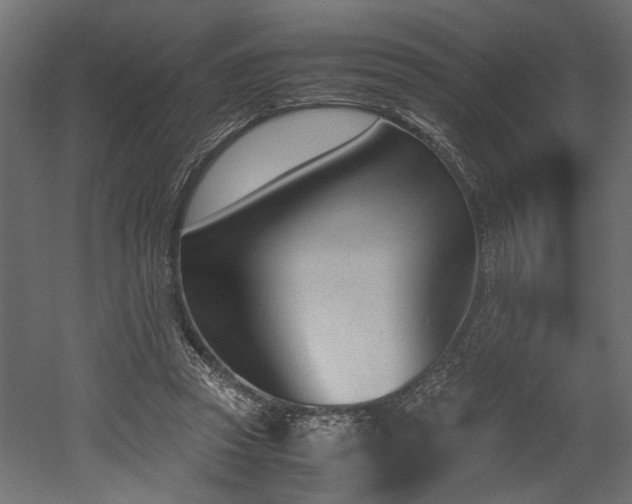 X0000052610353200507011233