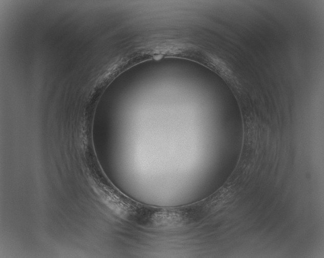 X0000052610354200507011233