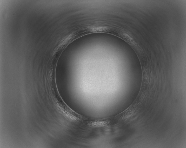 X0000052610357200507011233