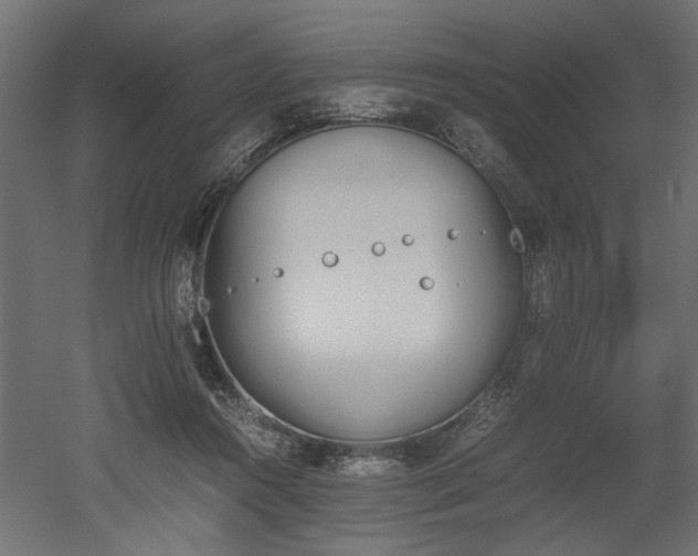 X0000052610360200507011233