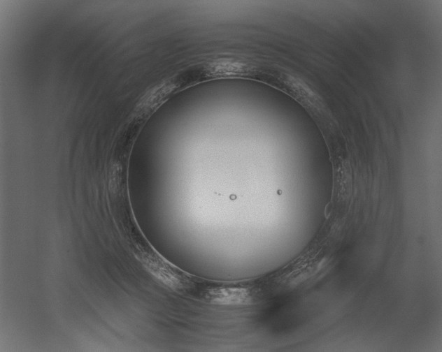 X0000052610361200507011233