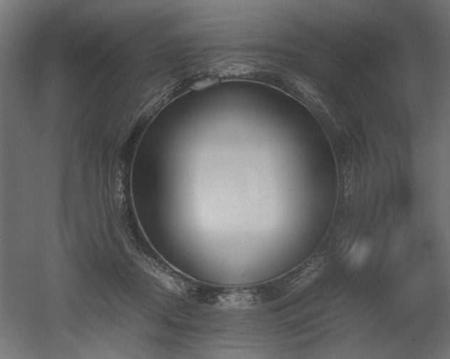 X0000052610362200507011233