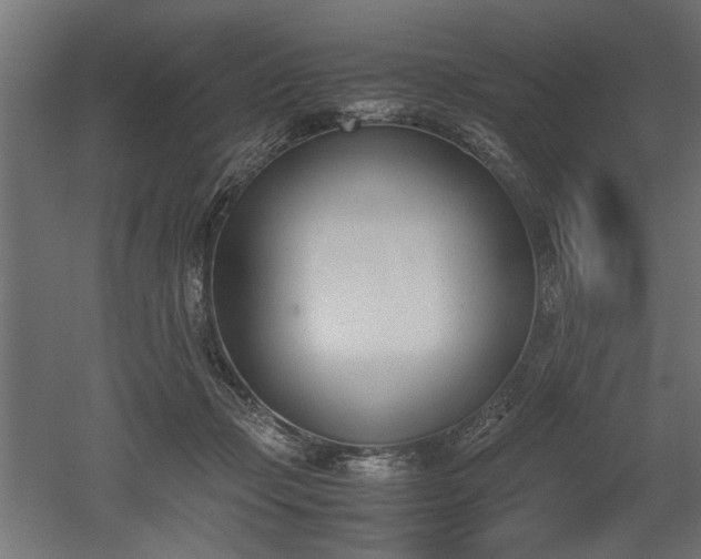 X0000052610365200507011233