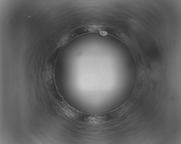 X0000052610367200507011233