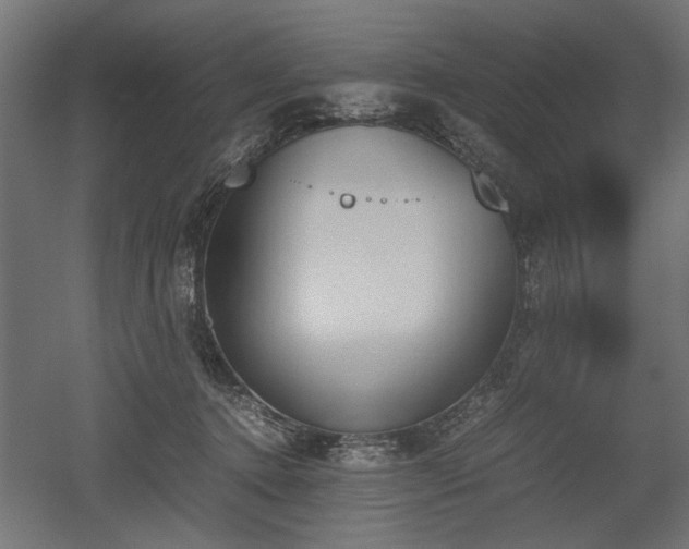 X0000052610368200507011233