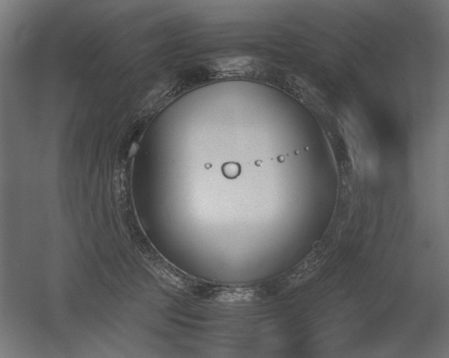 X0000052610369200507011233