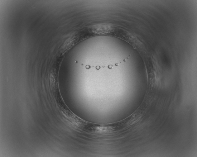 X0000052610371200507011234