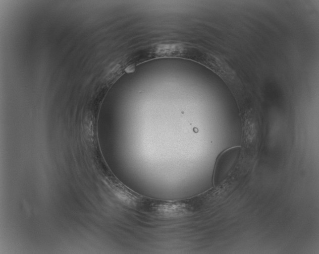 X0000052610375200507011234