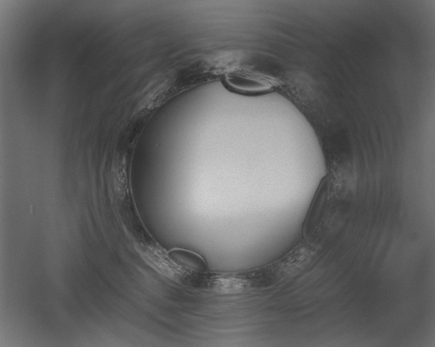 X0000052610376200507011234