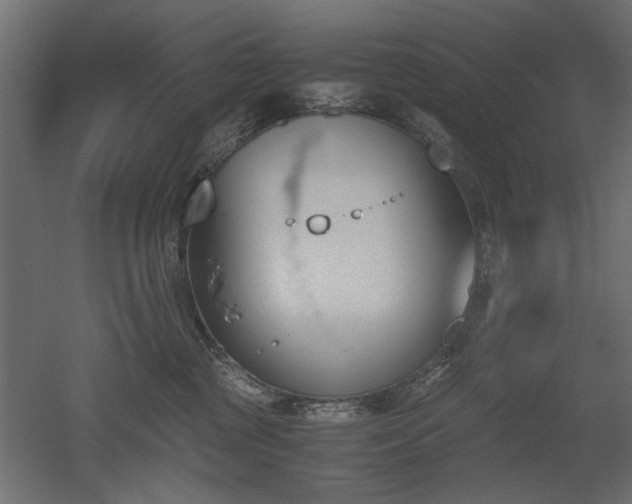 X0000052610377200507011234