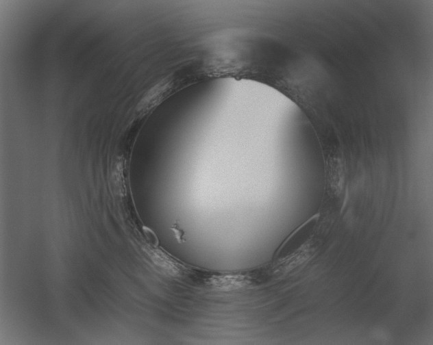 X0000052610378200507011234