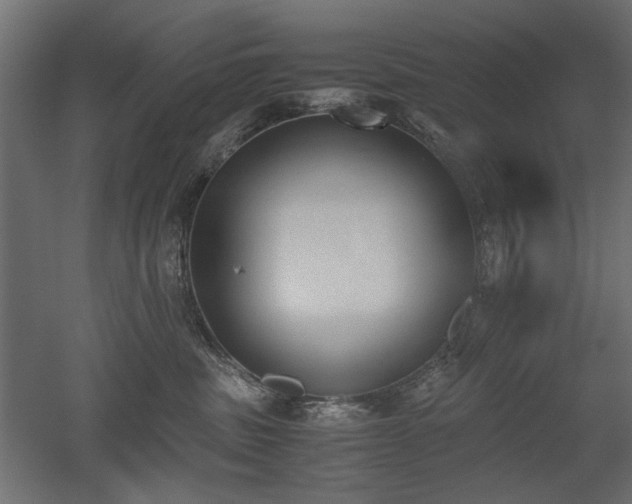 X0000052610379200507011234