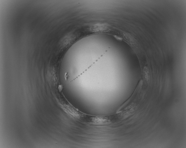 X0000052610380200507011234