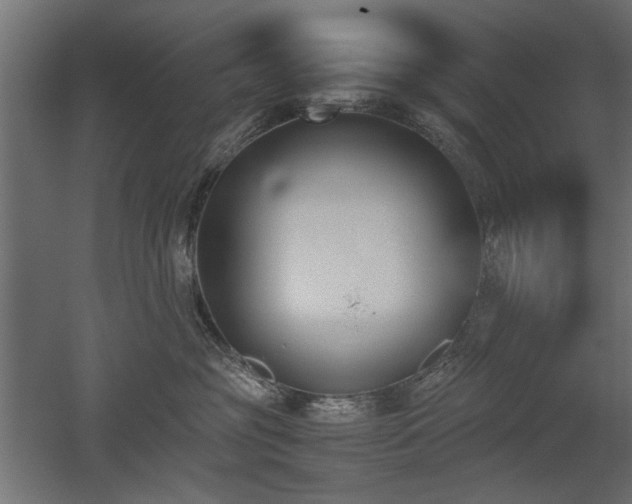 X0000052610381200507011234