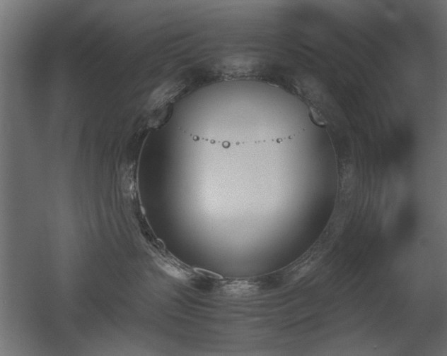 X0000052610383200507011234