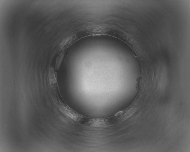 X0000052610384200507011234