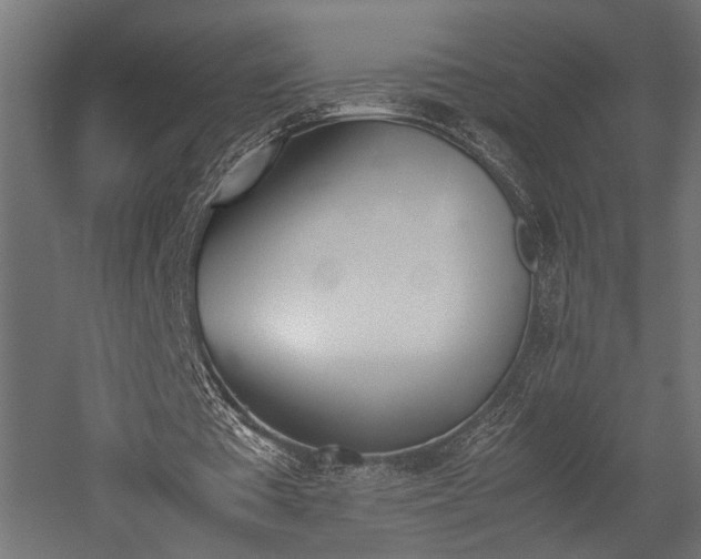 X0000052610385200507011233