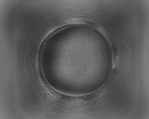 X0000052610387200507011233