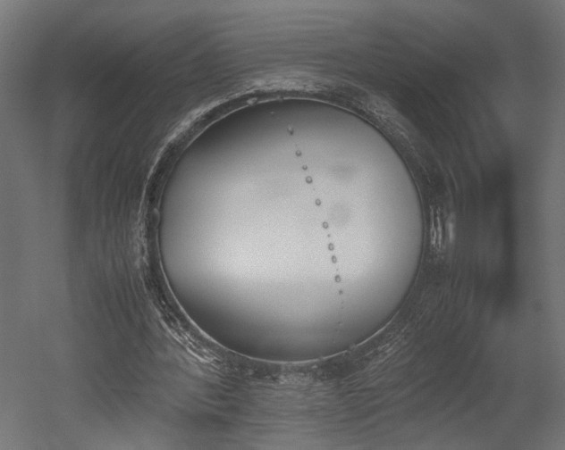 X0000052610388200507011233