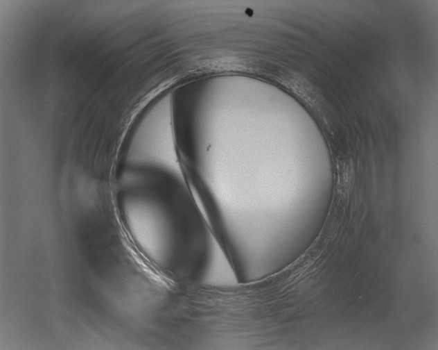 X0000052610390200507011233