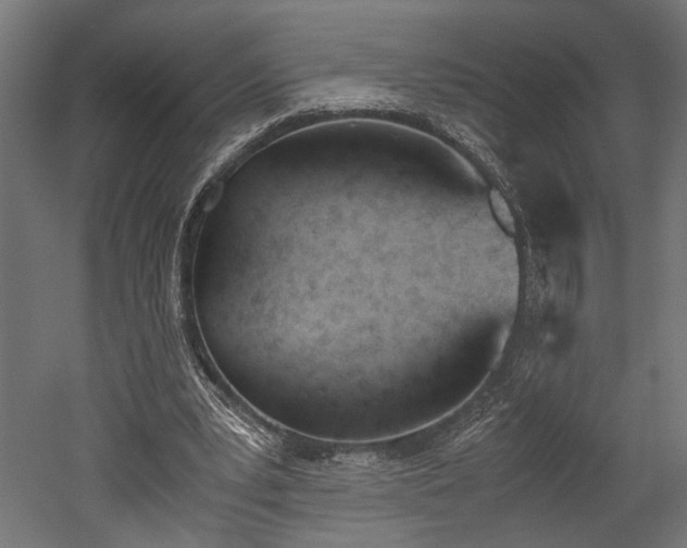 X0000052610391200507011233