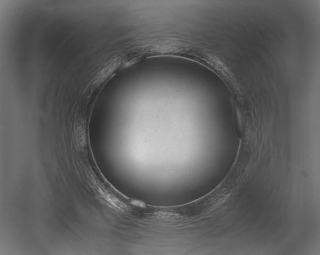 X0000052610393200507011233