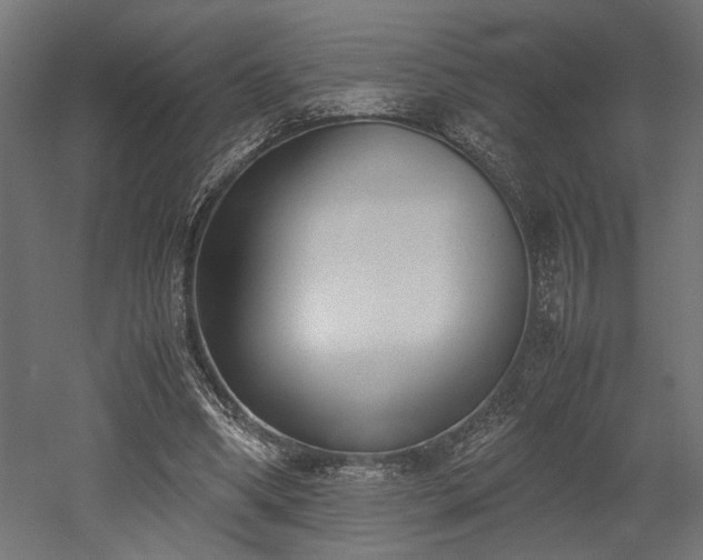 X0000052610394200507011233