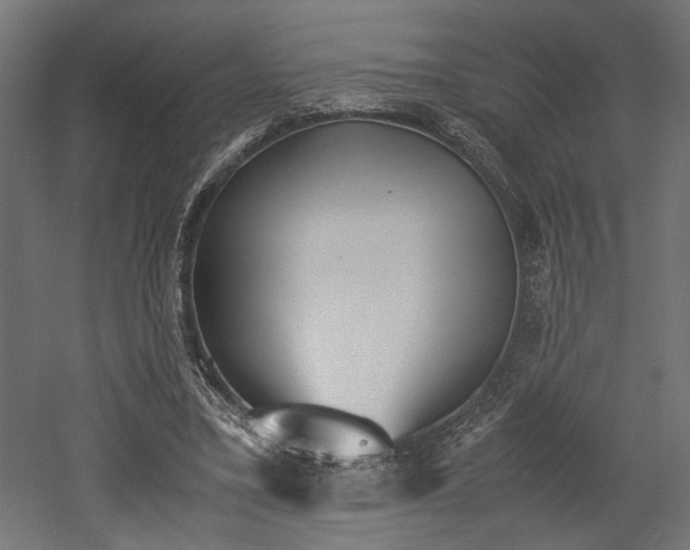 X0000052610395200507011233