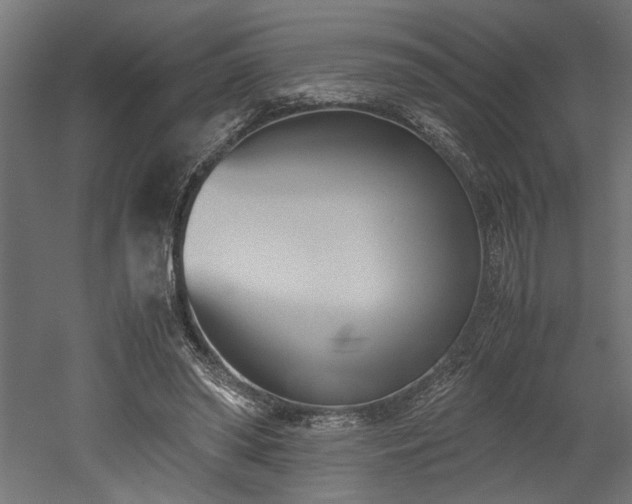 X0000052610398200507011233